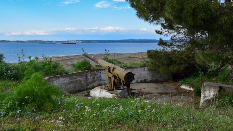 Kumkale'de çam kozalakları ihale yoluyla satılacak