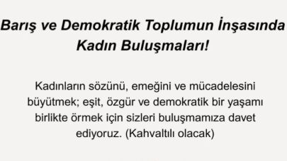 Barış ve Demokratik Toplumun İnşasında Kadın Buluşmaları Gökçeada’da