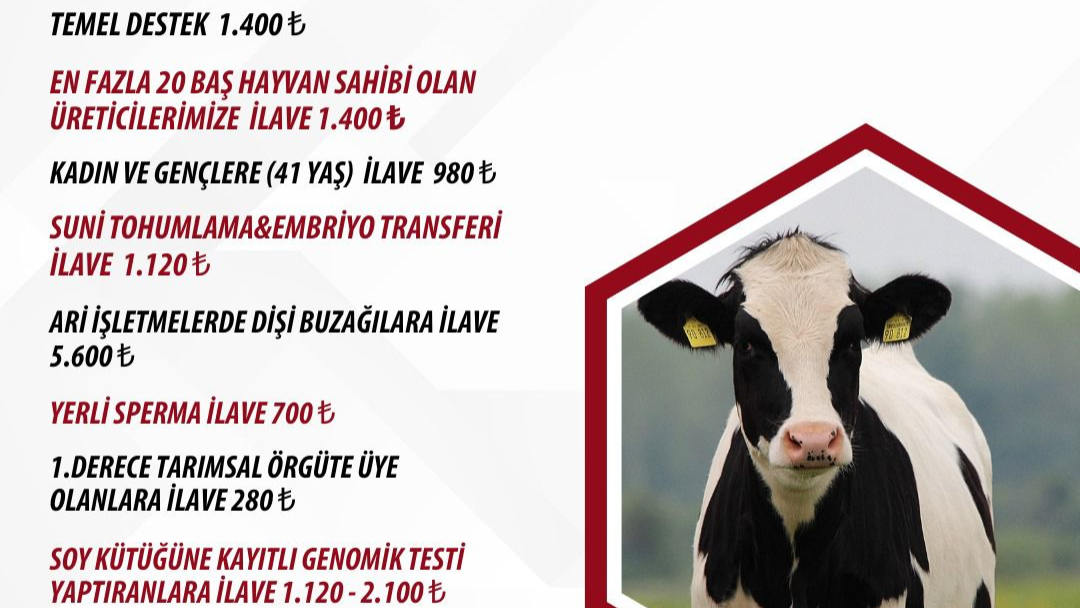 2025 yılı buzağı desteklemeleri