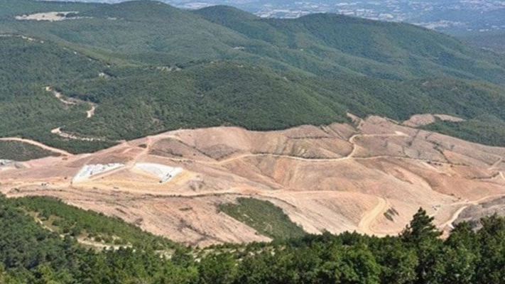TÜMAD, Alamos Gold’un hisselerini satın aldı