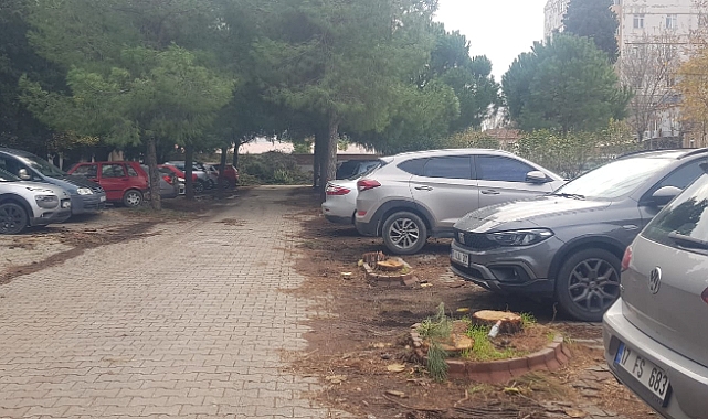 Bu katliamı Cengiz Holding yapsa..