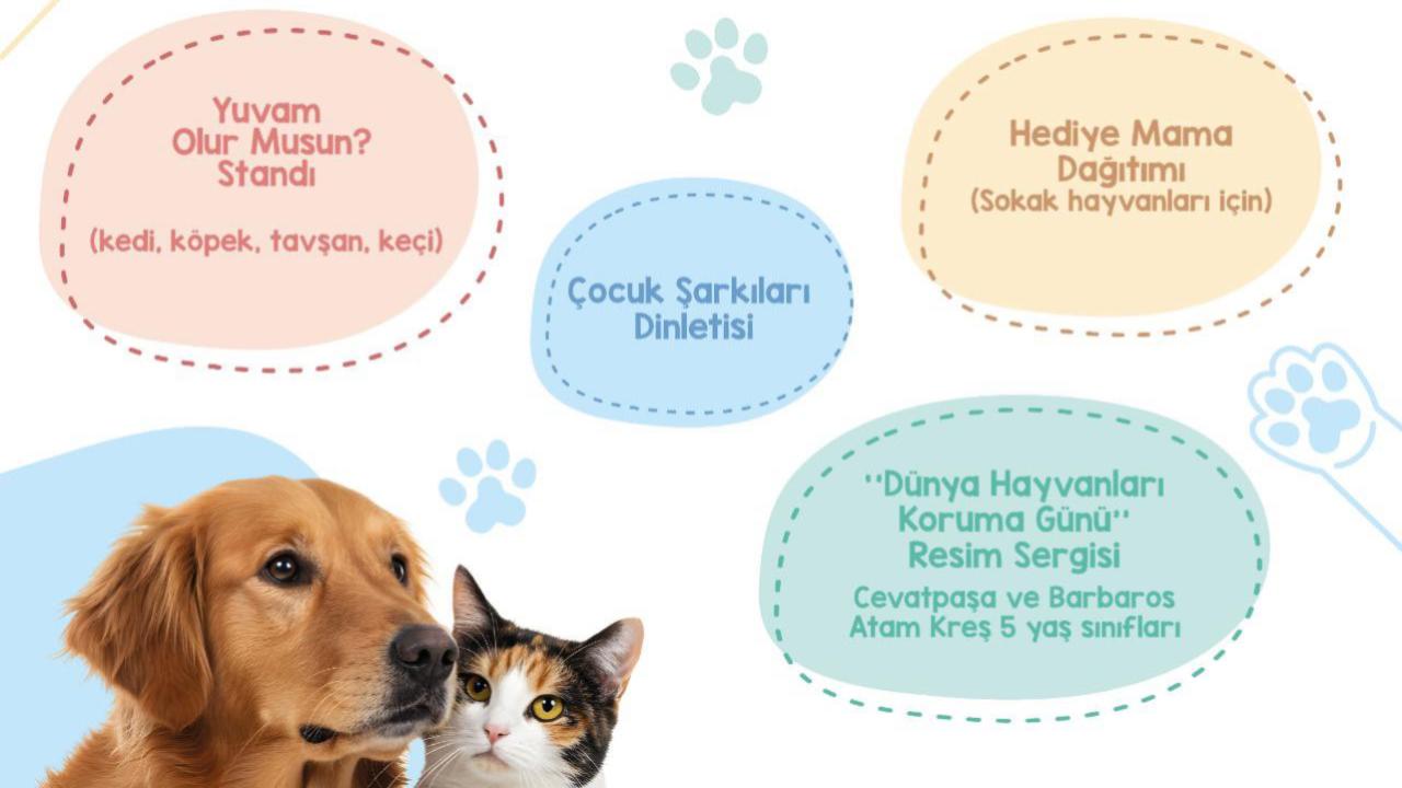 Çanakkale'de Dünya Hayvanları Koruma Günü etkinlikleri