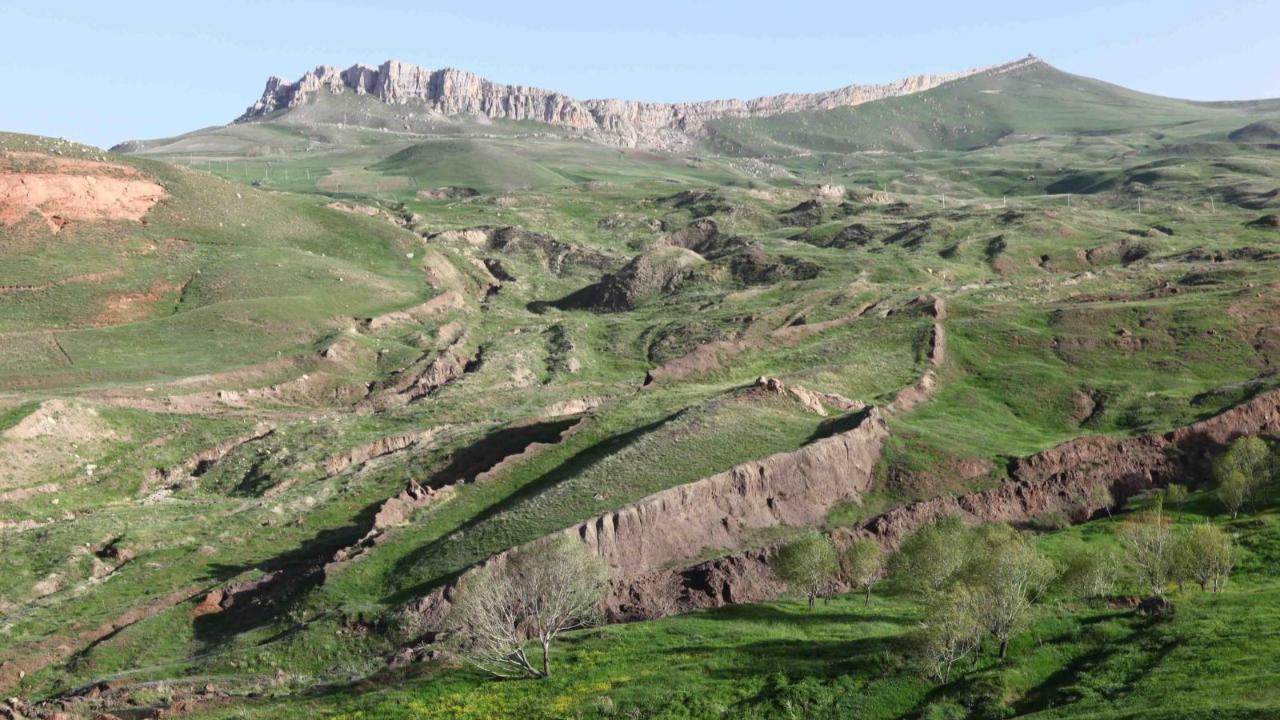 Otomatik Taslak