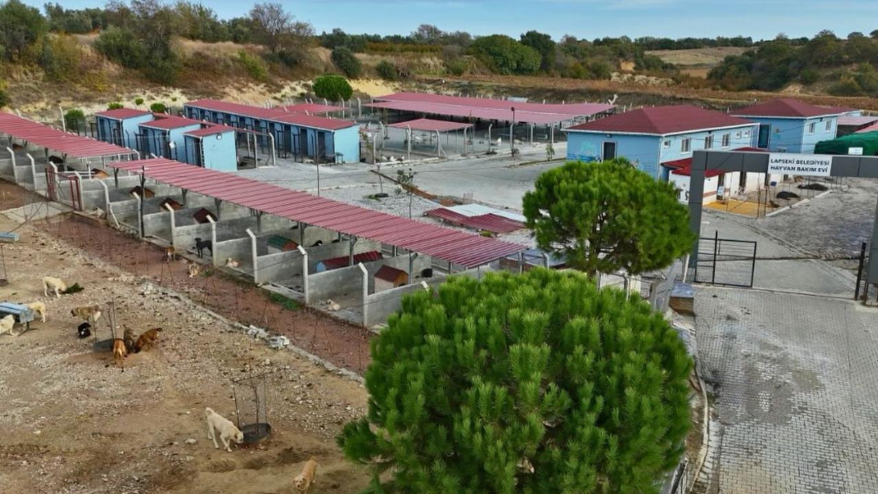 Otomatik Taslak