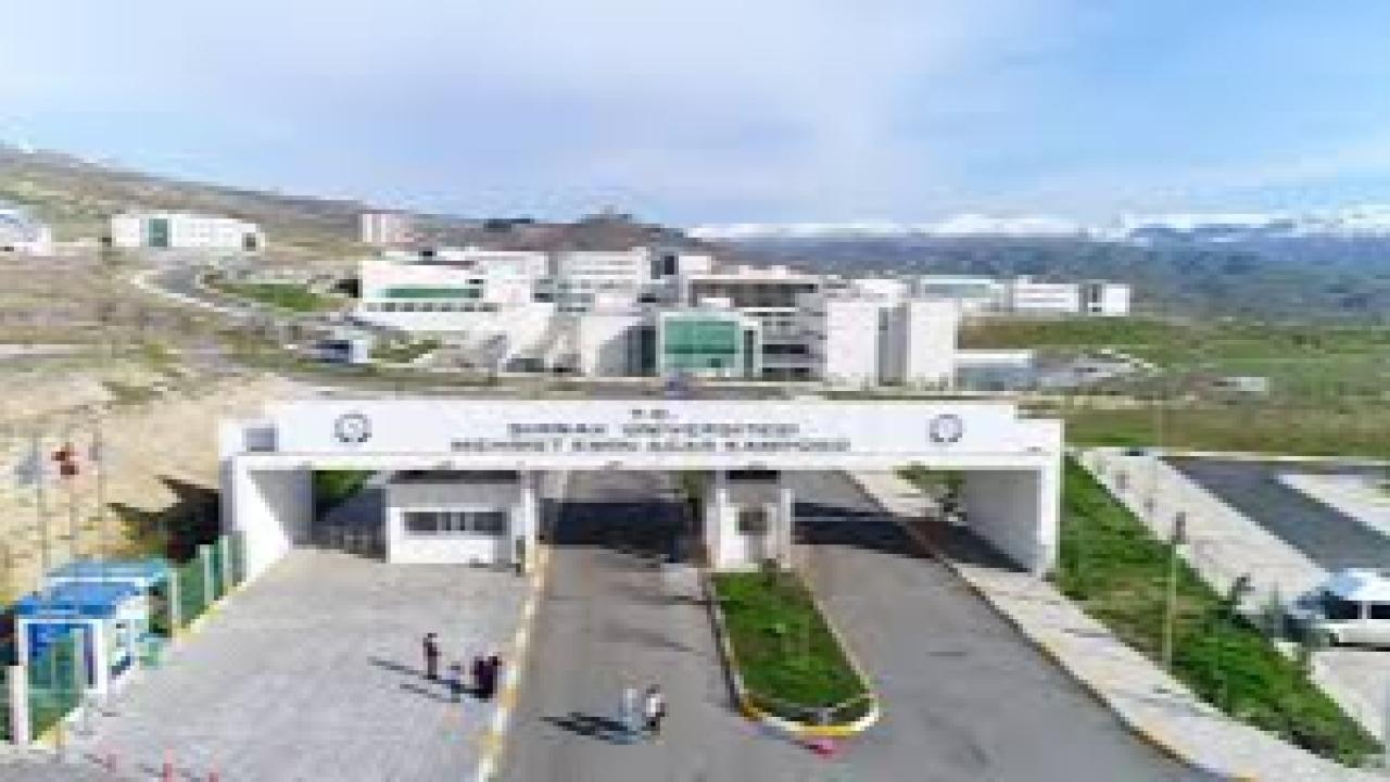Otomatik Taslak