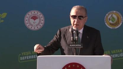 Cumhurbaşkanı Erdoğan, 11 Kasım Milli Ağaçlandırma Günü Programı'na Katılıyor! Yeşil Vatan İçin Kritik Mesajlar Verdi