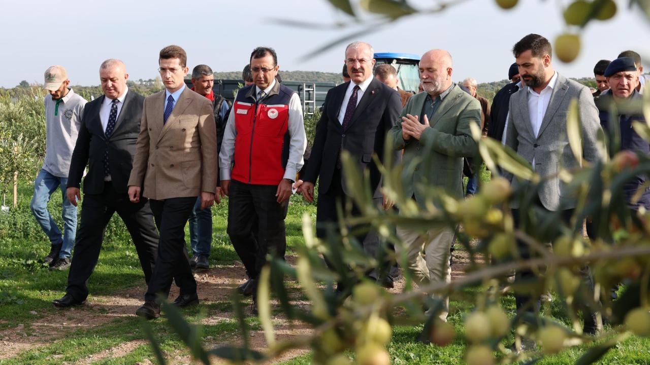 Ezine'de Tarım Seferberliği: Vali Toraman'dan Hasat Alanından Tariş Tesisi'ne Kapsamlı İnceleme Turu