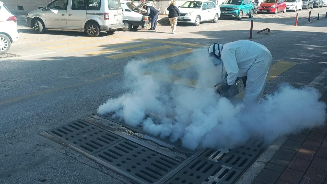 Otomatik Taslak