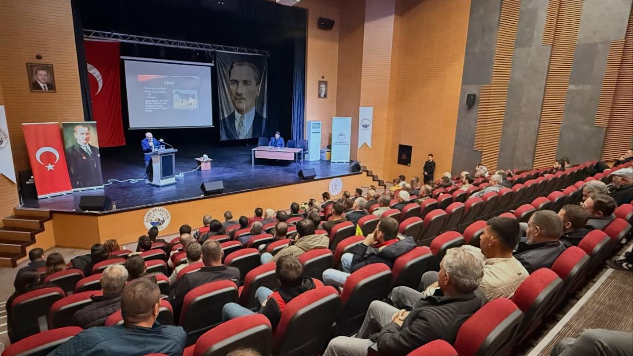 Otomatik Taslak