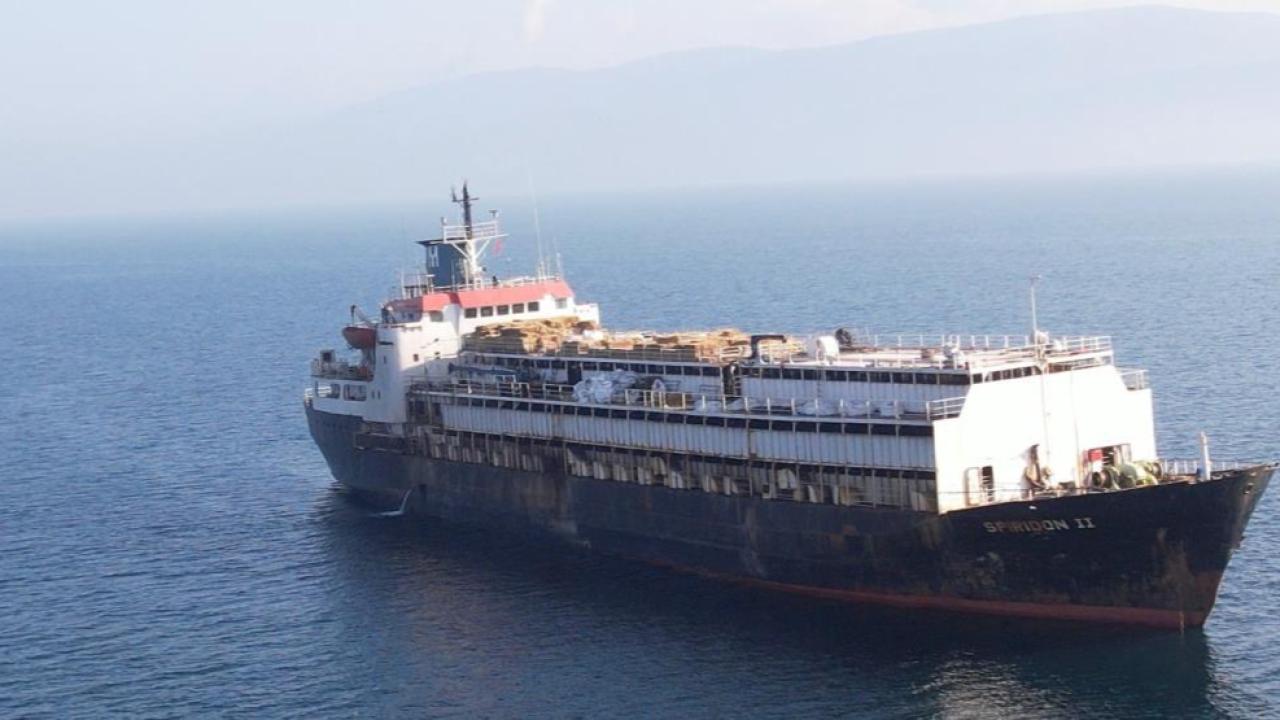 Otomatik Taslak