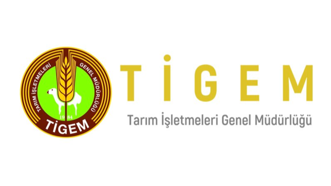 TİGEM'den Önemli Buğday Satışı İhalesi: 385 Ton Mahsul Açık Artırmayla Alıcı Bulacak!