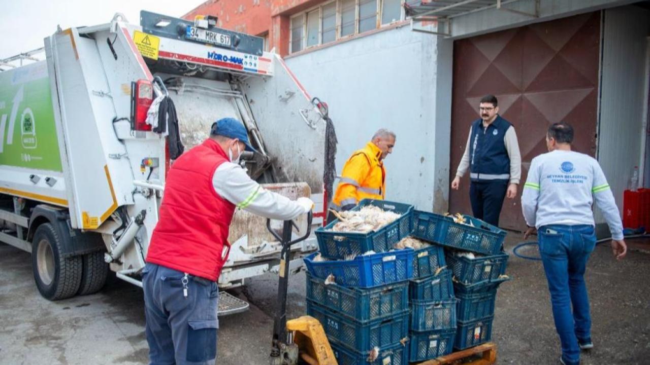 Adana'da Akılalmaz Manzara: Kokmuş 25 Kasa Tavuk Ele Geçirildi!