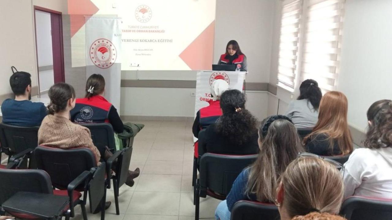 Çanakkale'de kahverengi kokarca alarmı: Halk sağlığına etkileri masaya yatırıldı