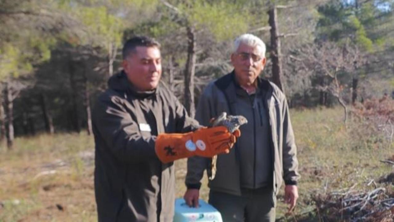 Otomatik Taslak