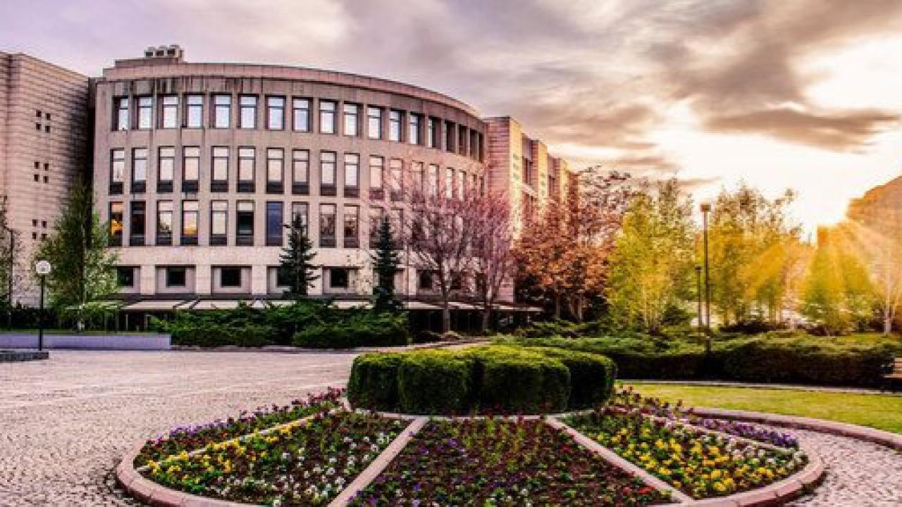 Sanat Dünyasını İlgilendiriyor: Uluslararası Sergi ve Kurumsal Koleksiyon Deneyimi Olan Akademisyen Aranıyor!