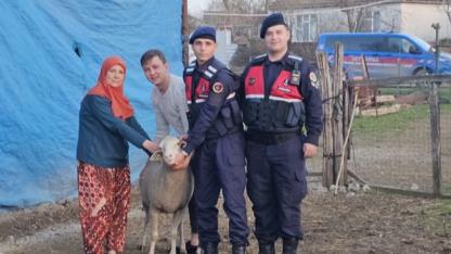 Biga Danişment’te Hareketli Saatler: Kayıp Hayvanlar Eksiksiz Bulundu!