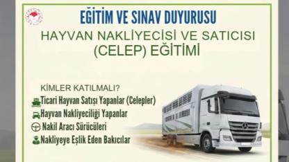 Celepler ve Nakliyeciler Dikkat! Sertifikasız Faaliyet Gösterene Ceza Kapıda: Eğitim ve Sınav Tarihi Netleşti!