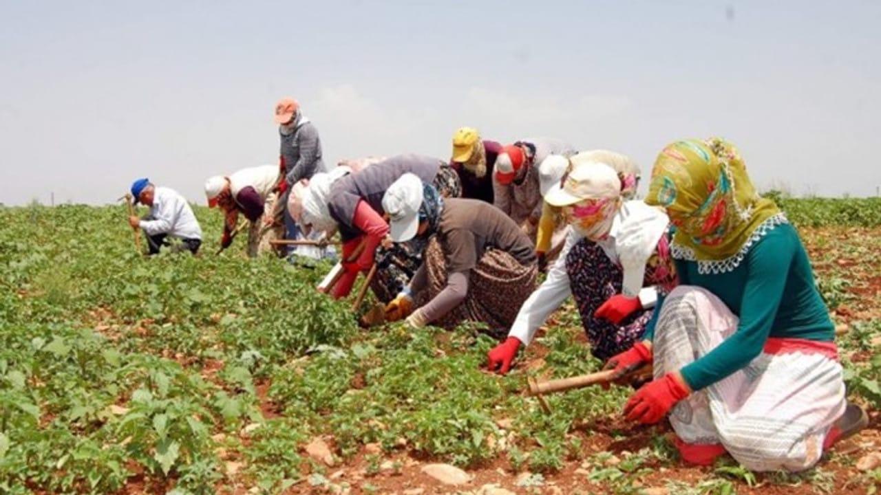 İYİ Partili Pestil’den Tarımda Alarm: Çiftçi Yılgın, Üretim Durma Noktasında