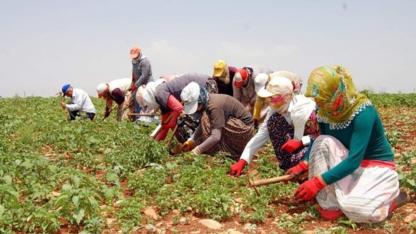 İYİ Partili Pestil’den Tarımda Alarm: Çiftçi Yılgın, Üretim Durma Noktasında