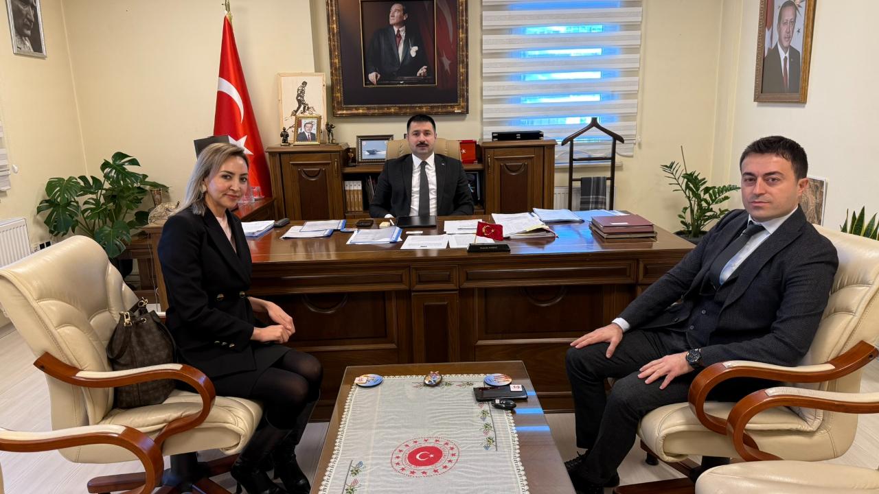 Otomatik Taslak