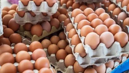 Milyonlarca Tüketiciyi İlgilendiriyor! Yumurtada '28 Gün' Şartı Geldi: İşte Yeni Kurallar!
