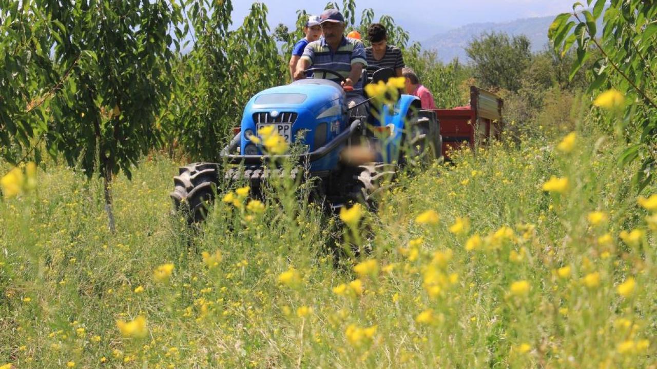 Otomatik Taslak
