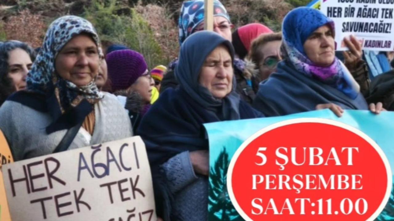 Otomatik Taslak