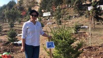 Evlat Acısına Yüreği Dayanmadı: Mezarı Başında Fenalaşan Anne Hayatını Kaybetti