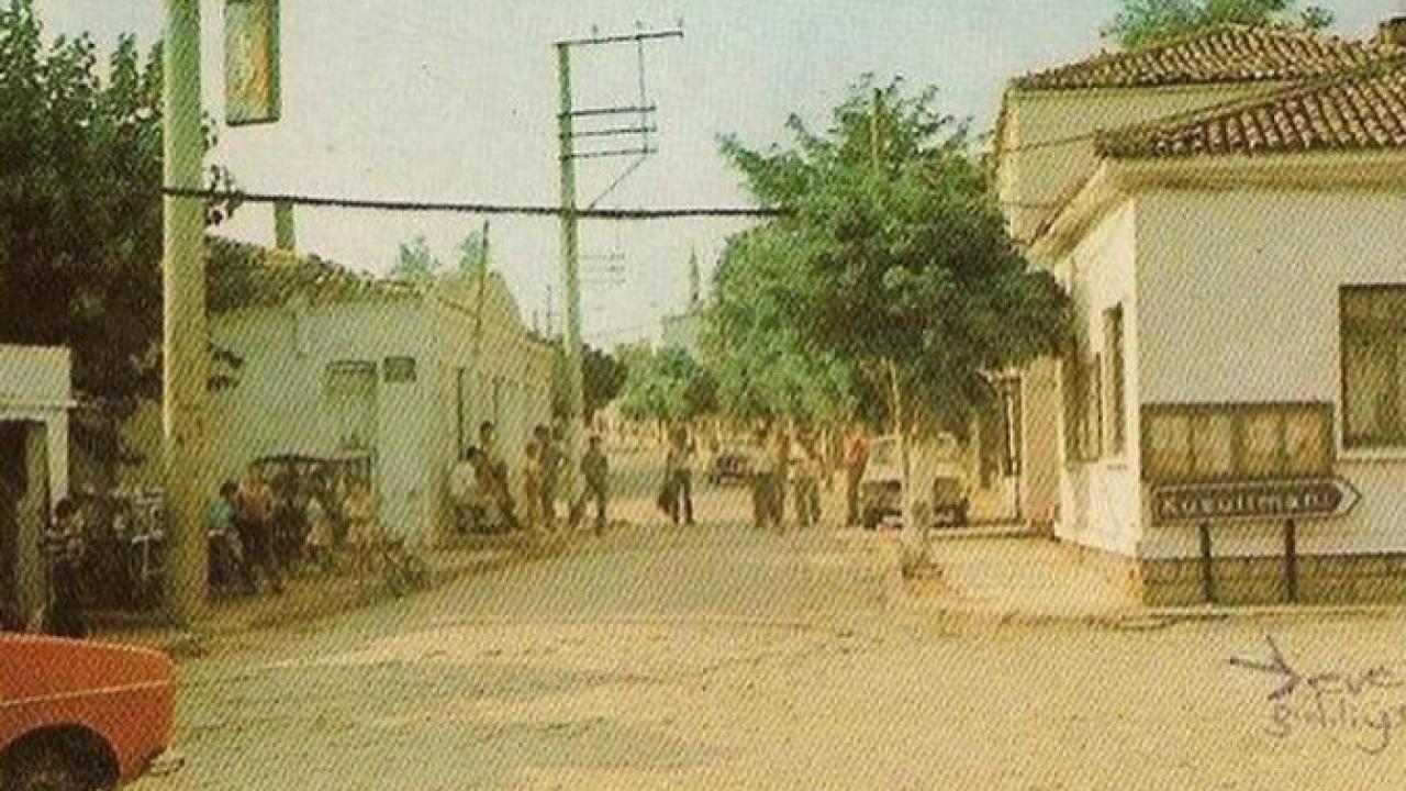 Otomatik Taslak