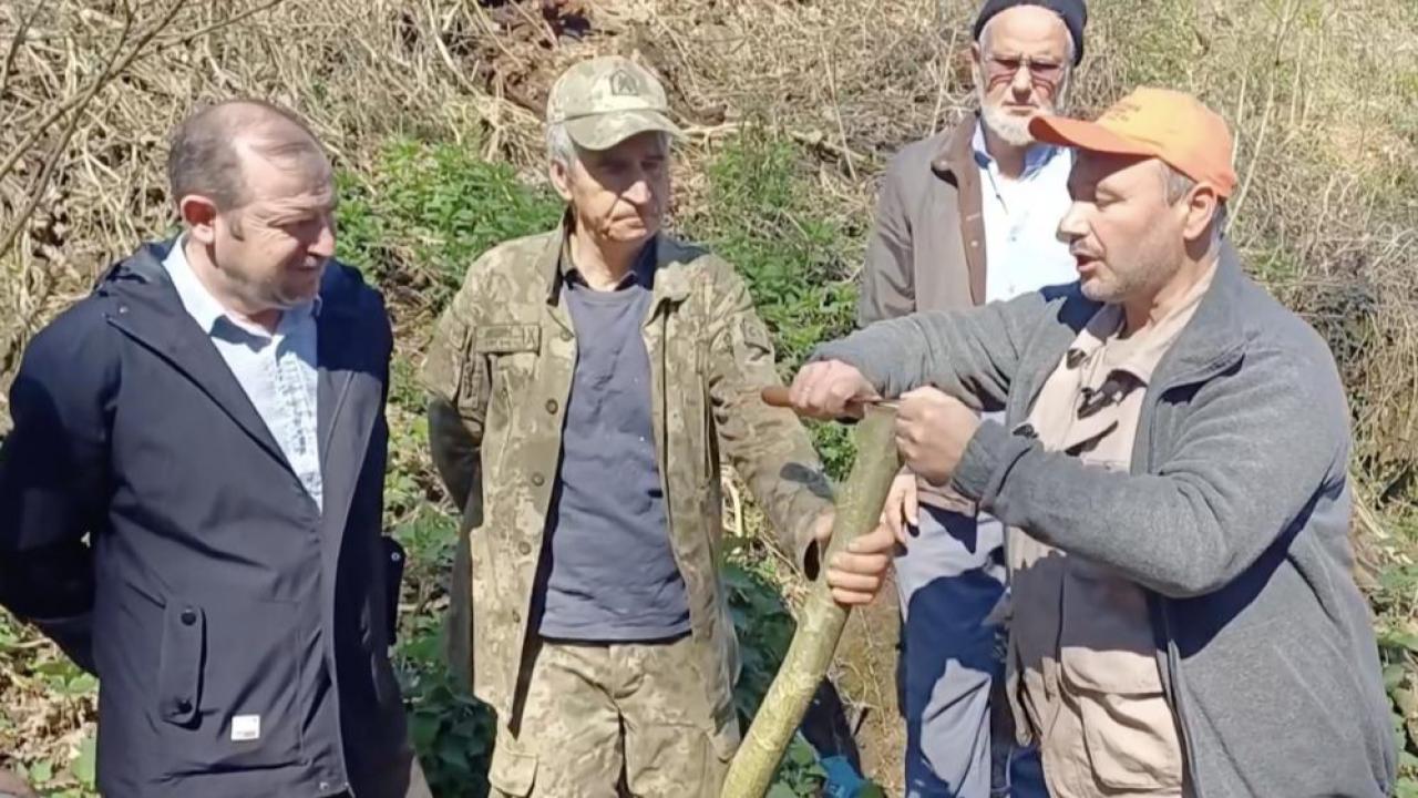 Otomatik Taslak