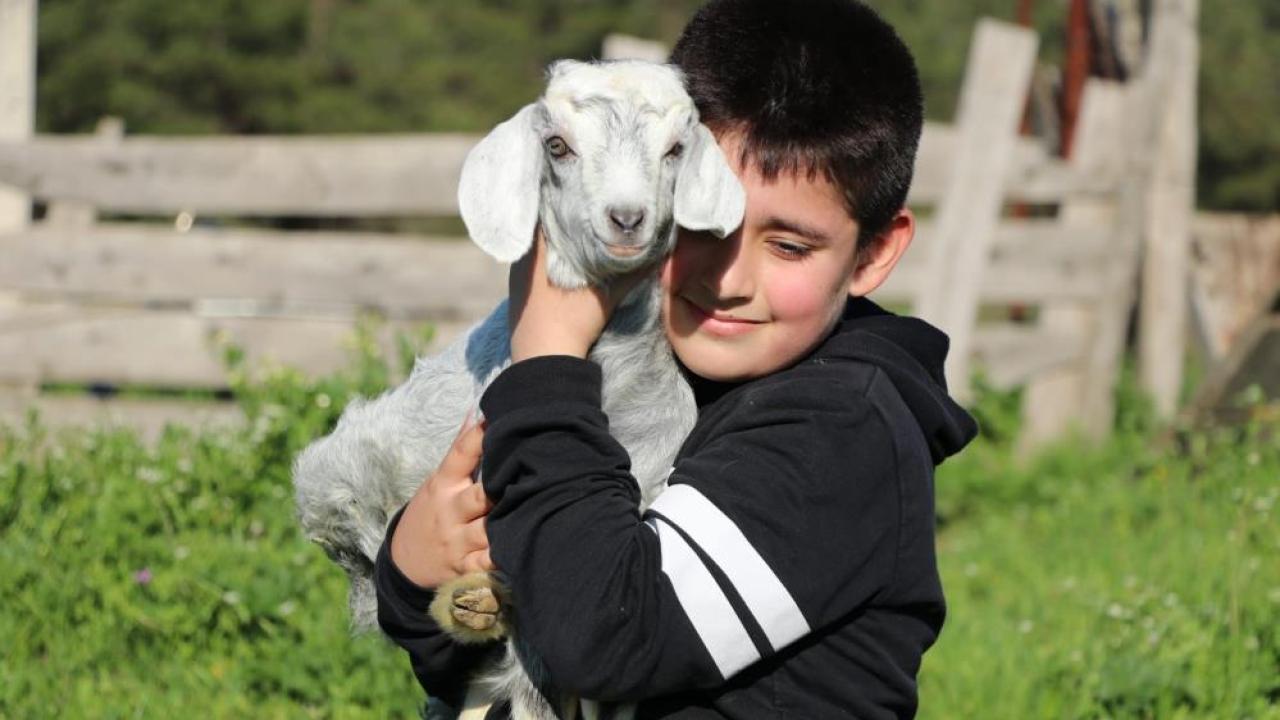 Otomatik Taslak