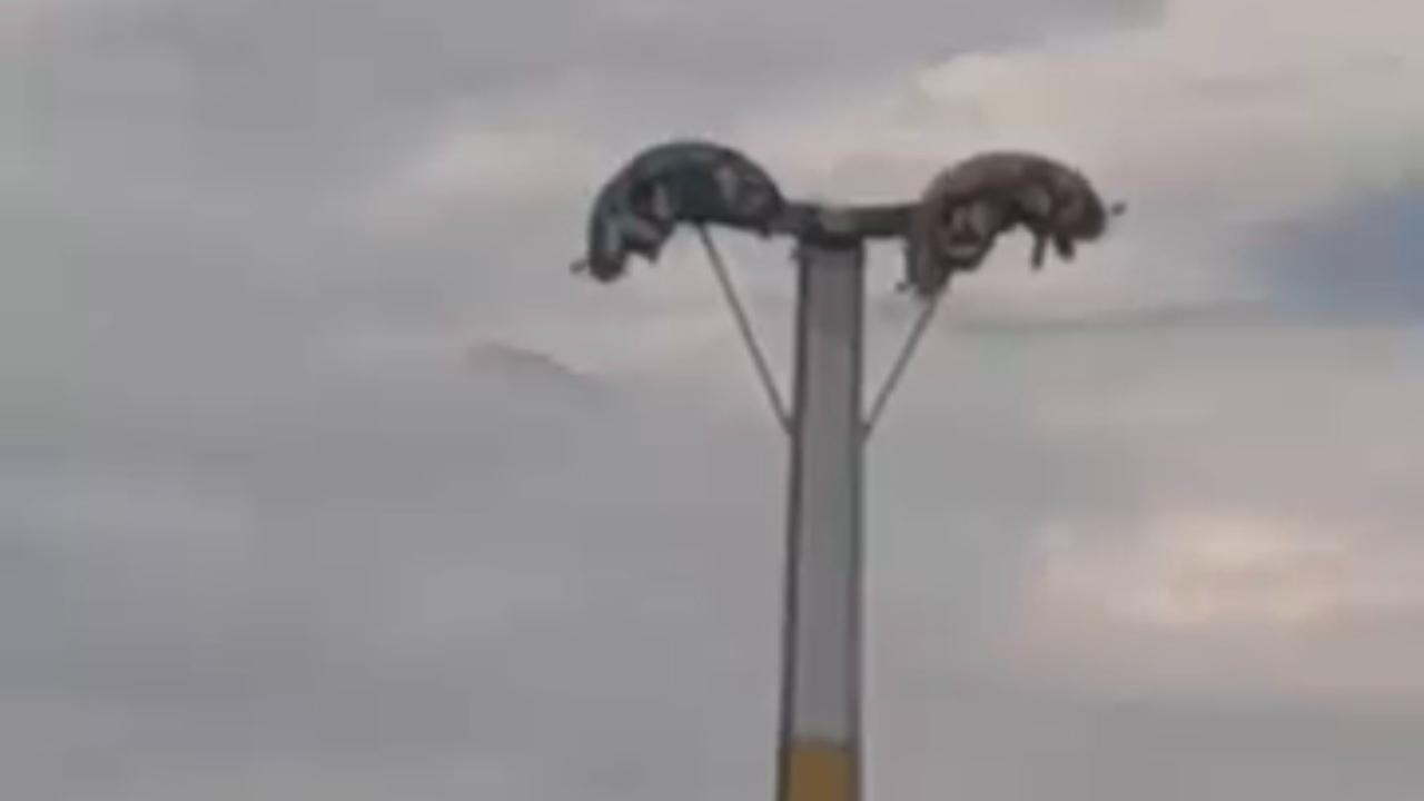 Bayram Eğlencesi Kabusa Döndü! Lunaparkta Metrelerce Yüksekte Baş Aşağı Asılı Kaldılar
