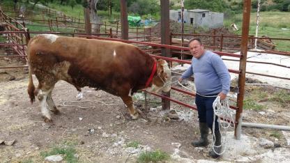 Çanakkale’de Gören Dönüp Bir Daha Bakıyor! ‘Paşaköy Efesi’ Tam 1 Tonu Geçti