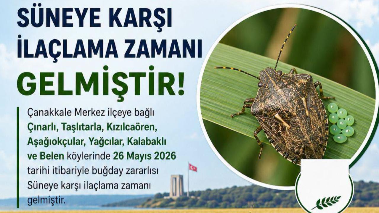 Çanakkale’de Süne Alarmı: Buğday Tarlaları İçin İlaçlama Uyarısı