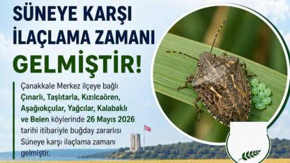 Çanakkale’de Süne Alarmı: Buğday Tarlaları İçin İlaçlama Uyarısı