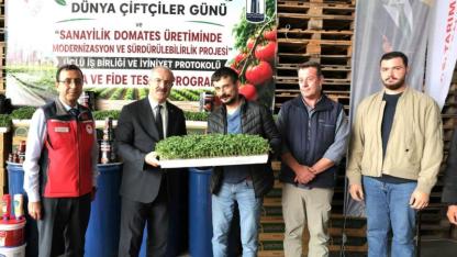 Çanakkale'de üreticiye büyük destek! 804 bin adet domates fidesi dağıtıldı