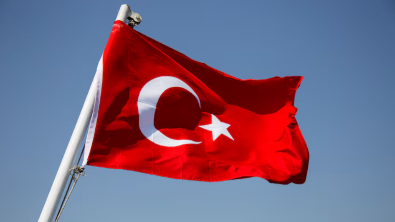 DÜNYA DÜZENİ