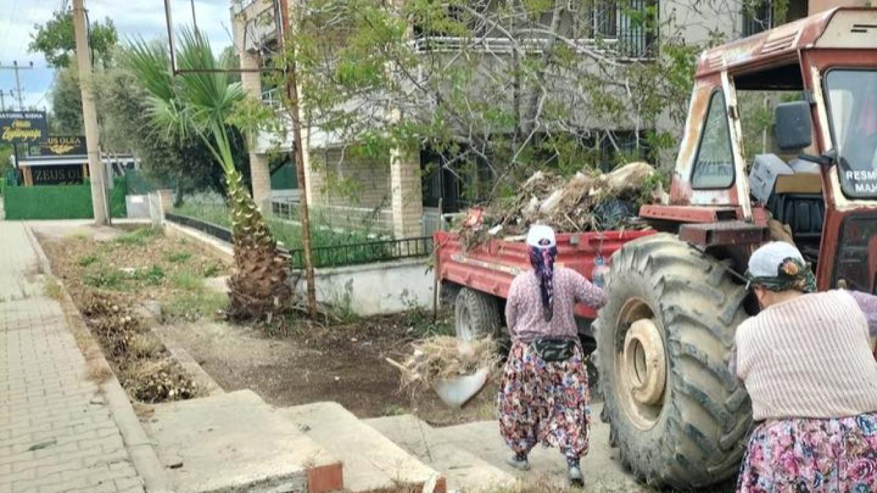 Küçükkuyu’da yaz temizliği
