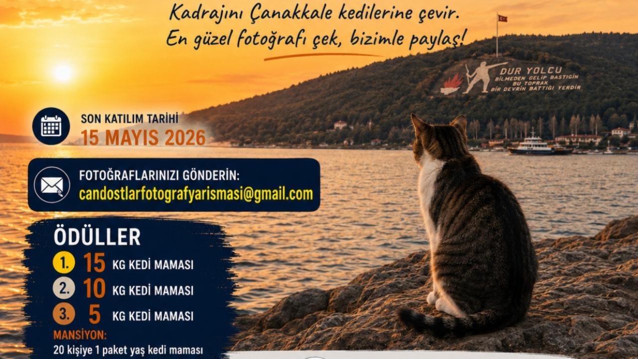Otomatik Taslak