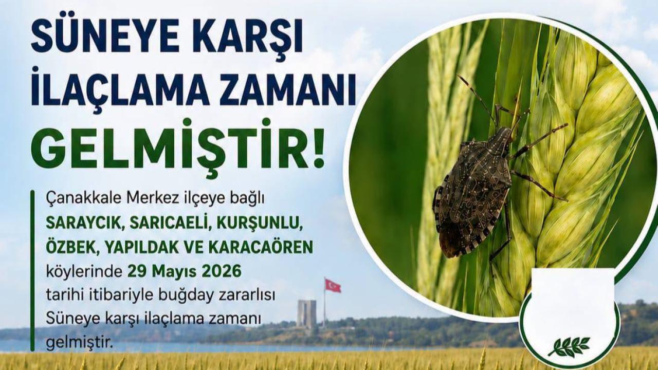 Otomatik Taslak