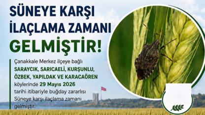 Çanakkale’de Buğday Üreticilerine Süne Uyarısı: 6 Köyde İlaçlama Alarmı