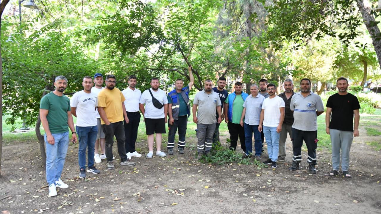 Belediye personeline ağaç budama eğitimi