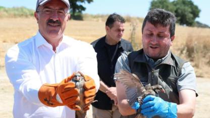 Çanakkale’de 1000 kınalı keklik doğaya salındı