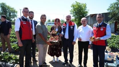 Çanakkale’de Hasat Başladı! Yenice’deki Rakamlar Türkiye’yi Şaşırttı… Bu Oran Nasıl Mümkün Oldu?