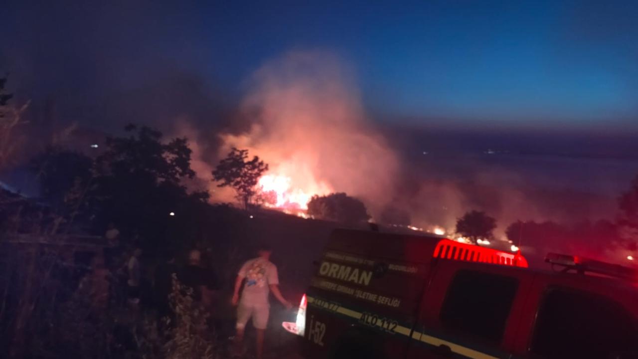 Çanakkale'de yangın!