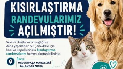 Çanakkale’de Sokak Hayvanları İçin Kısırlaştırma Randevuları Açıldı (Başvuru Linki)
