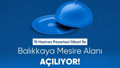 Balıkkaya Mesire Alanı 15 Haziran'da kapılarını açıyor!