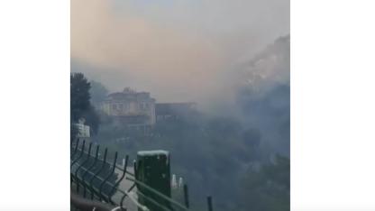 Ayvacık’ta Mıhlı Şelalesi Üst Kesimlerinde Yangın