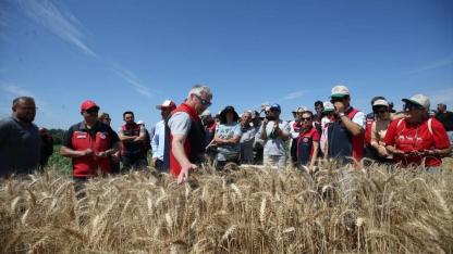Çanakkale’de Yerli Tohum Seferberliği: 22 Çeşidin Hasadı Yapıldı