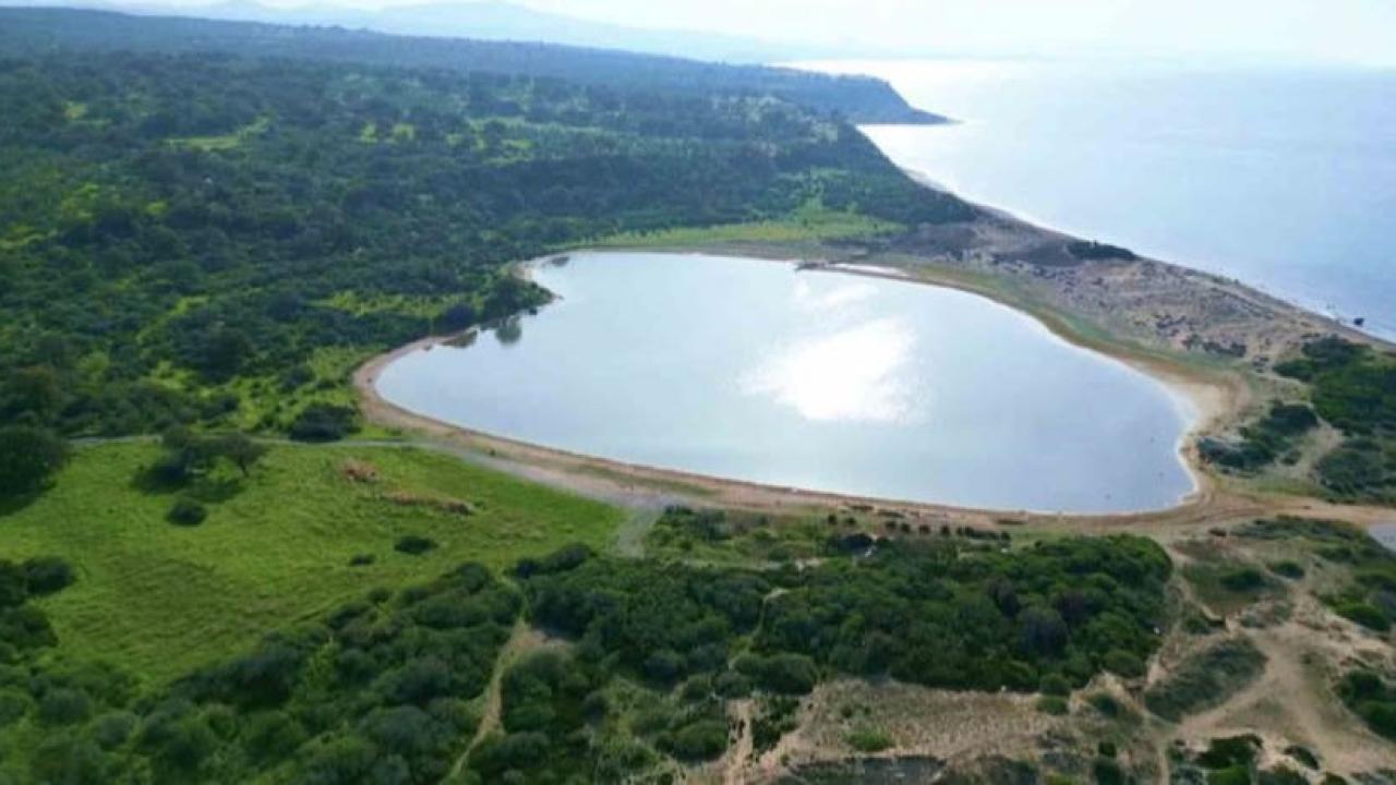 Otomatik Taslak